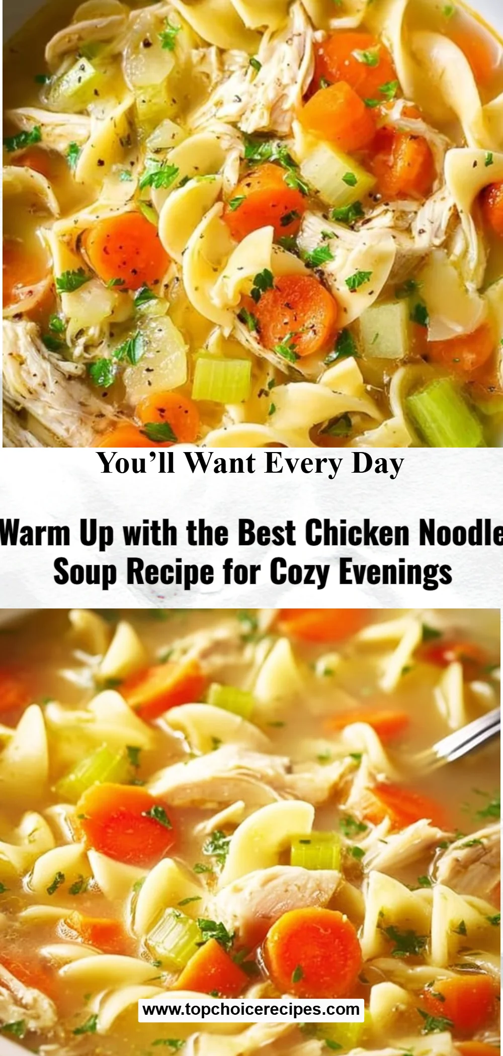 Best Chicken Noodle Soup 5 Best Chicken Noodle Soup
