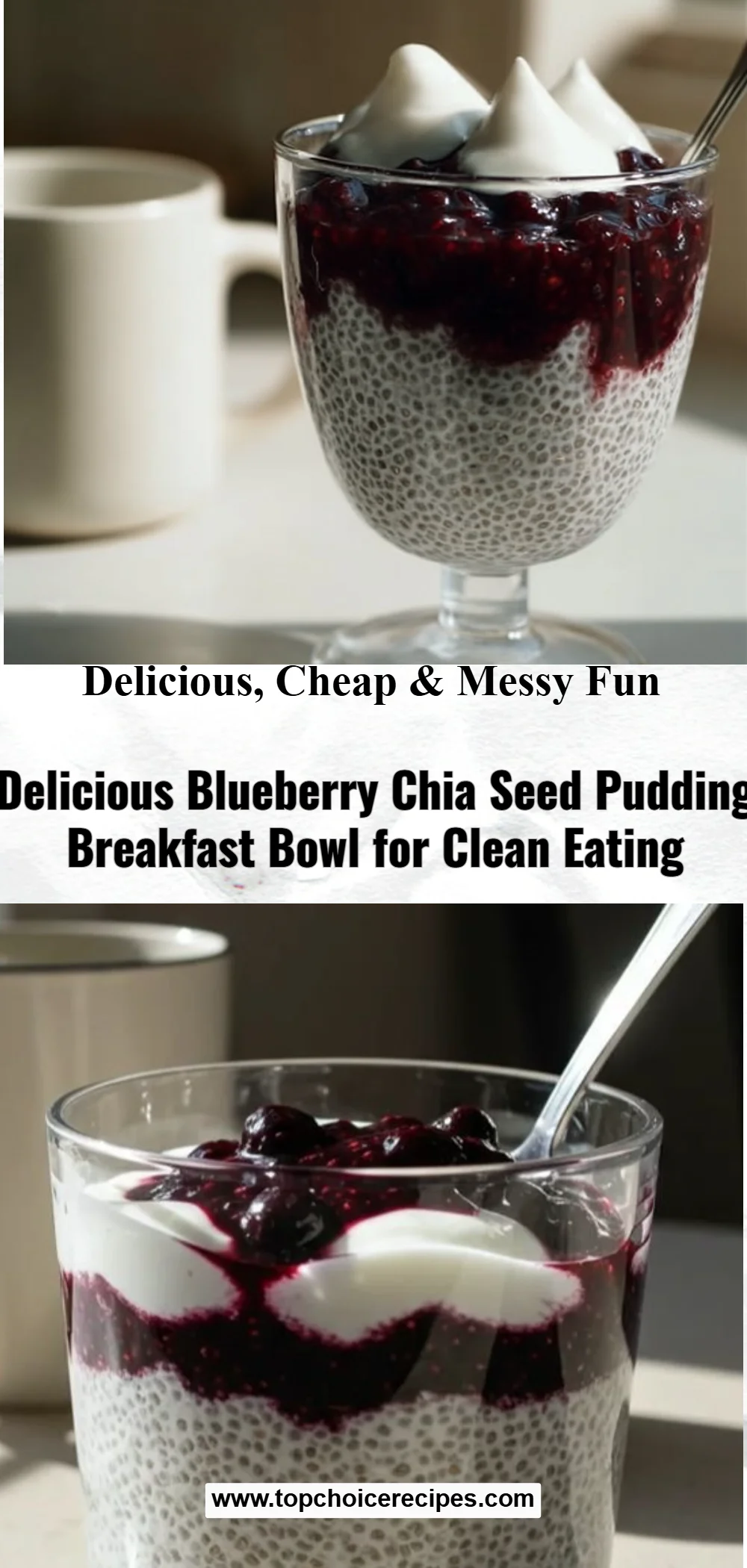 Blueberry Chia Breakfast Bowl 5 Blueberry Chia Breakfast Bowl