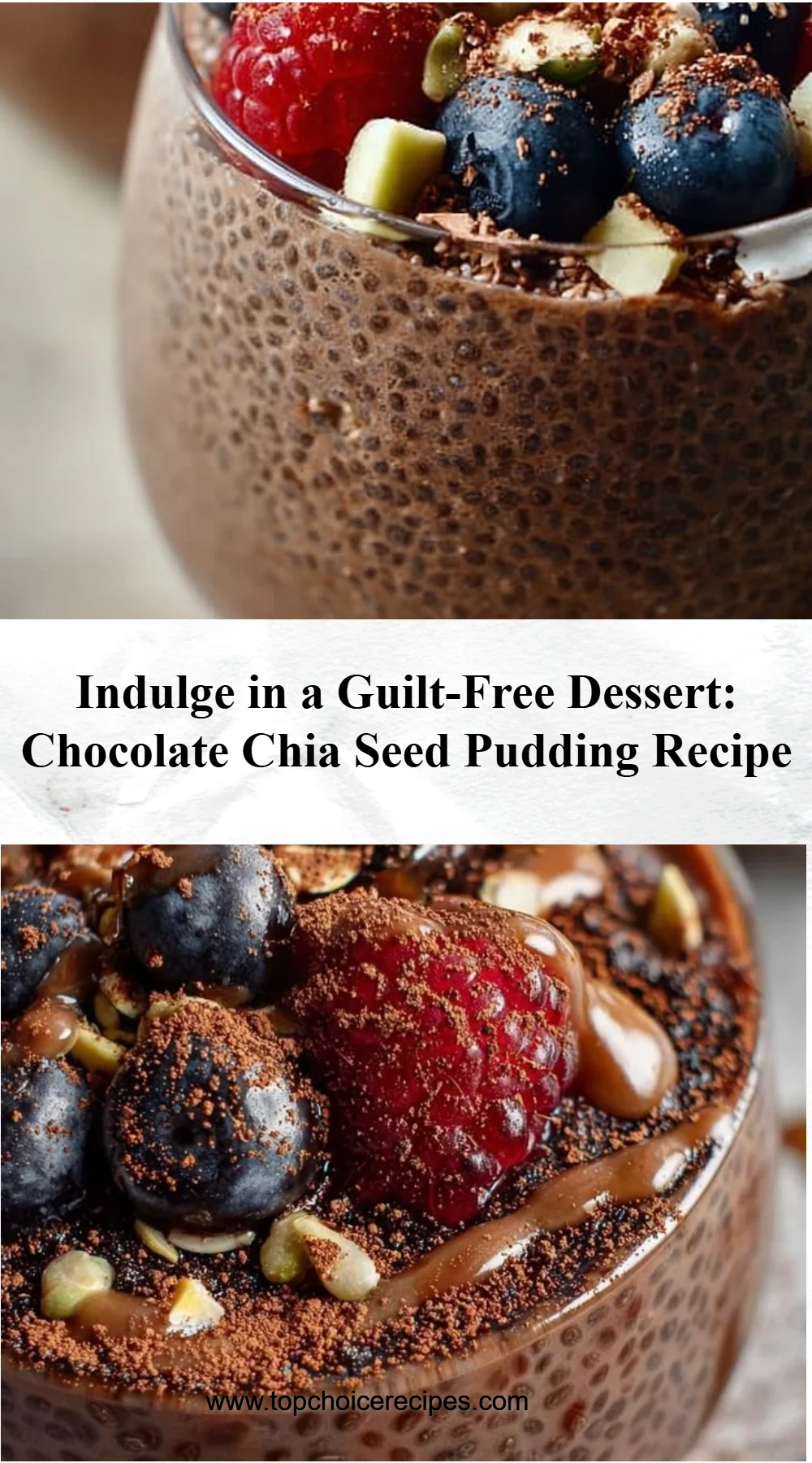 Chocolate Chia Seed Pudding 5 Chocolate Chia Seed Pudding