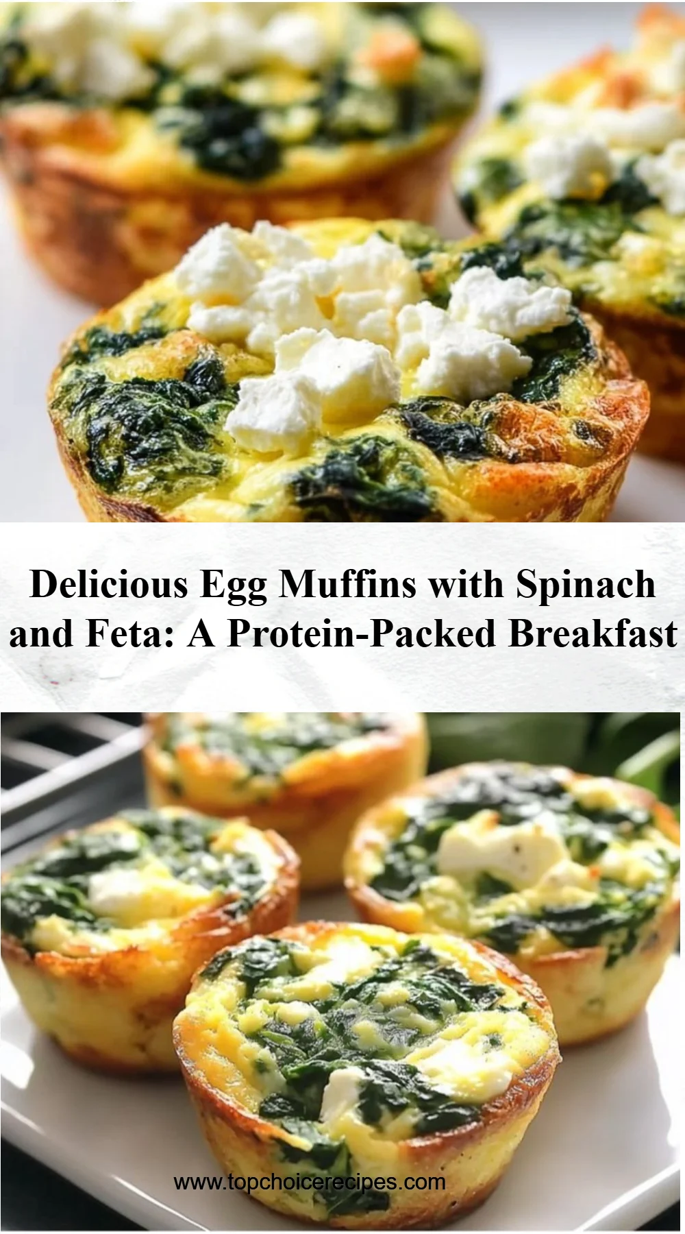 Egg Muffins with Spinach and Feta