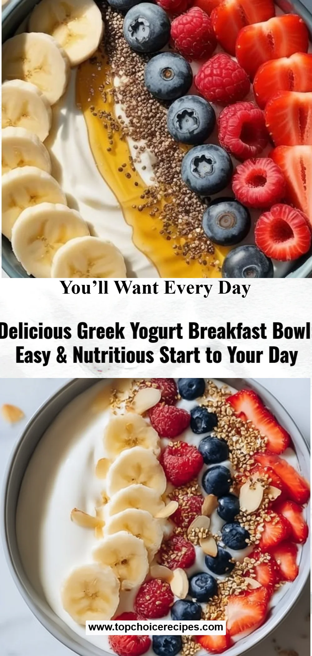 Greek Yogurt Breakfast Bowl 6 Greek Yogurt Breakfast Bowl