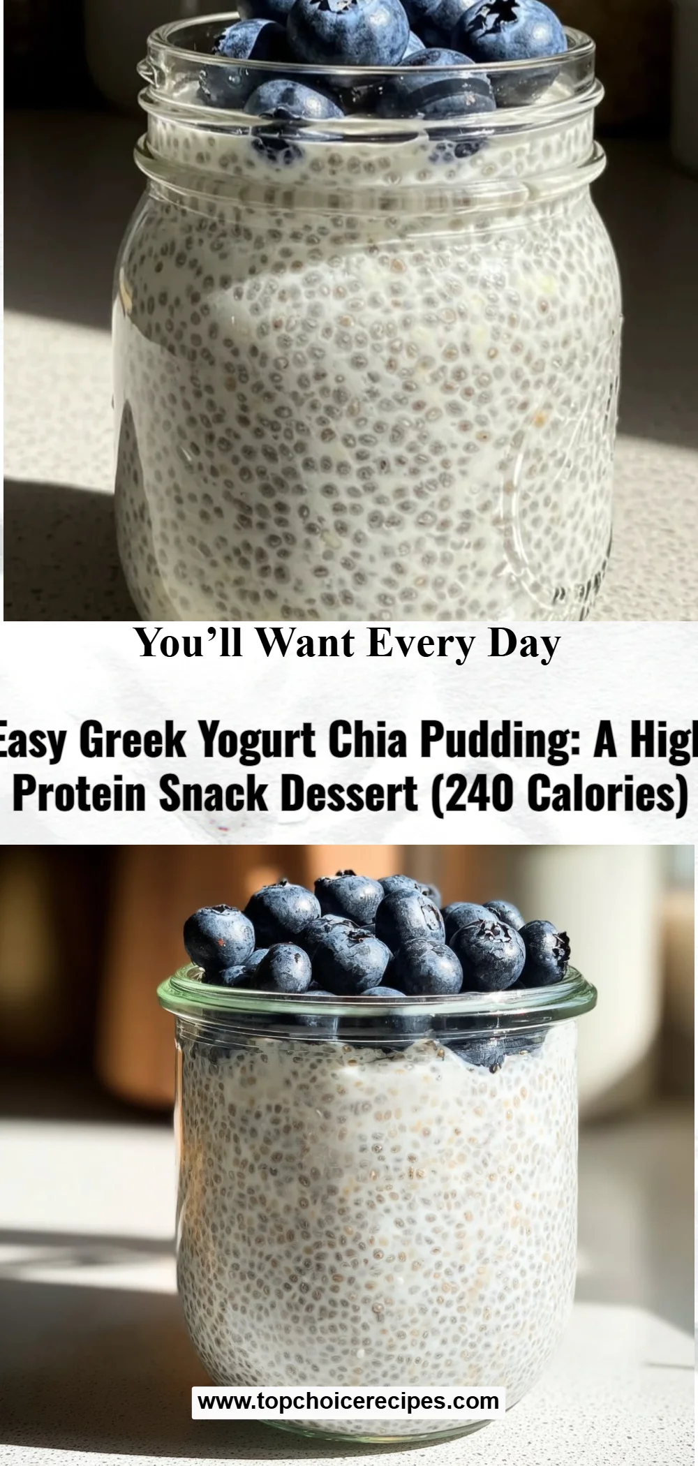 Greek Yogurt Chia Pudding