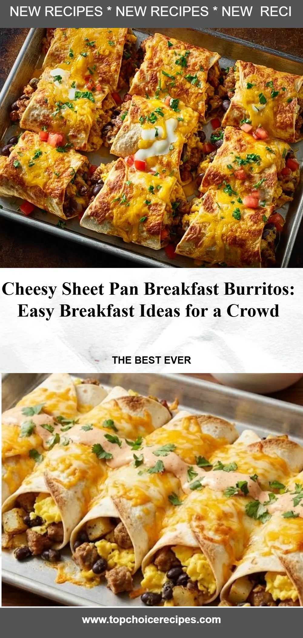 Cheesy Sheet Pan Breakfast Burritos 6 Cheesy Sheet Pan Breakfast Burritos