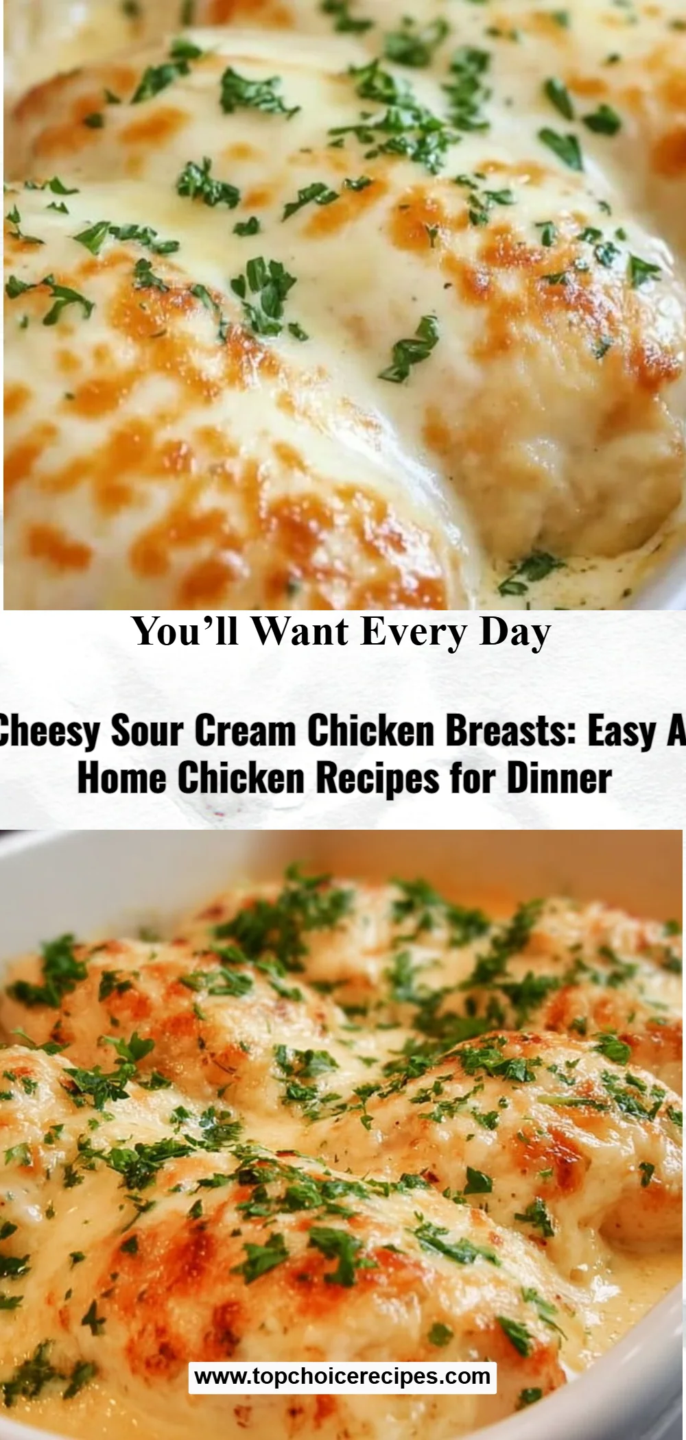 Cheesy Sour Cream Chicken Breasts