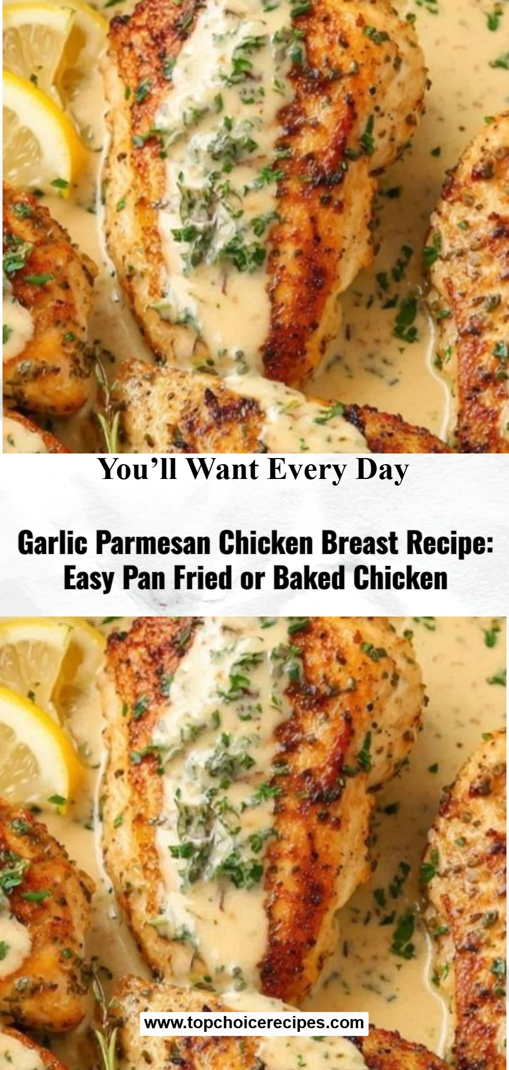 Garlic Parmesan Chicken Breasts 6 Garlic Parmesan Chicken Breasts