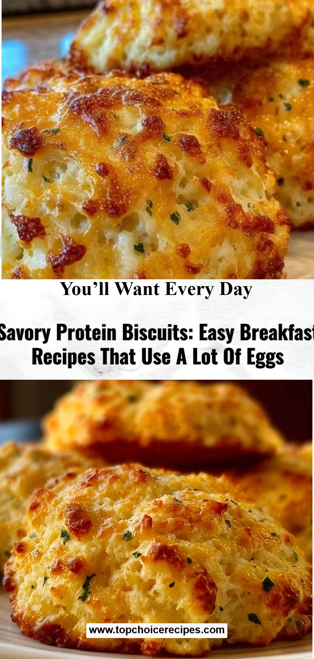 Savory Protein Biscuits