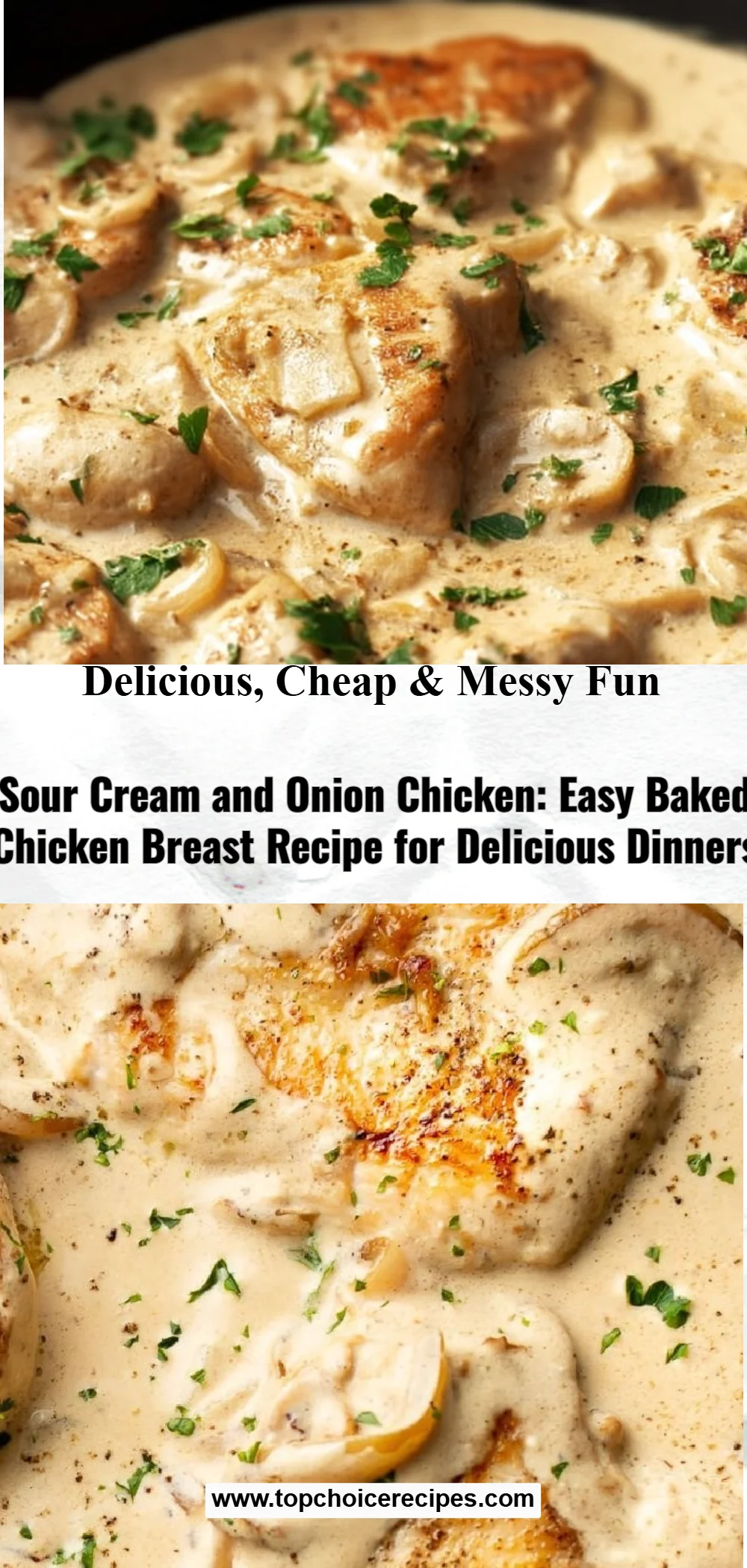 Sour Cream and Onion Chicken