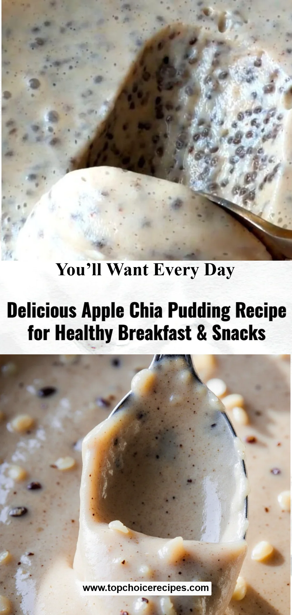 Apple Chia Pudding