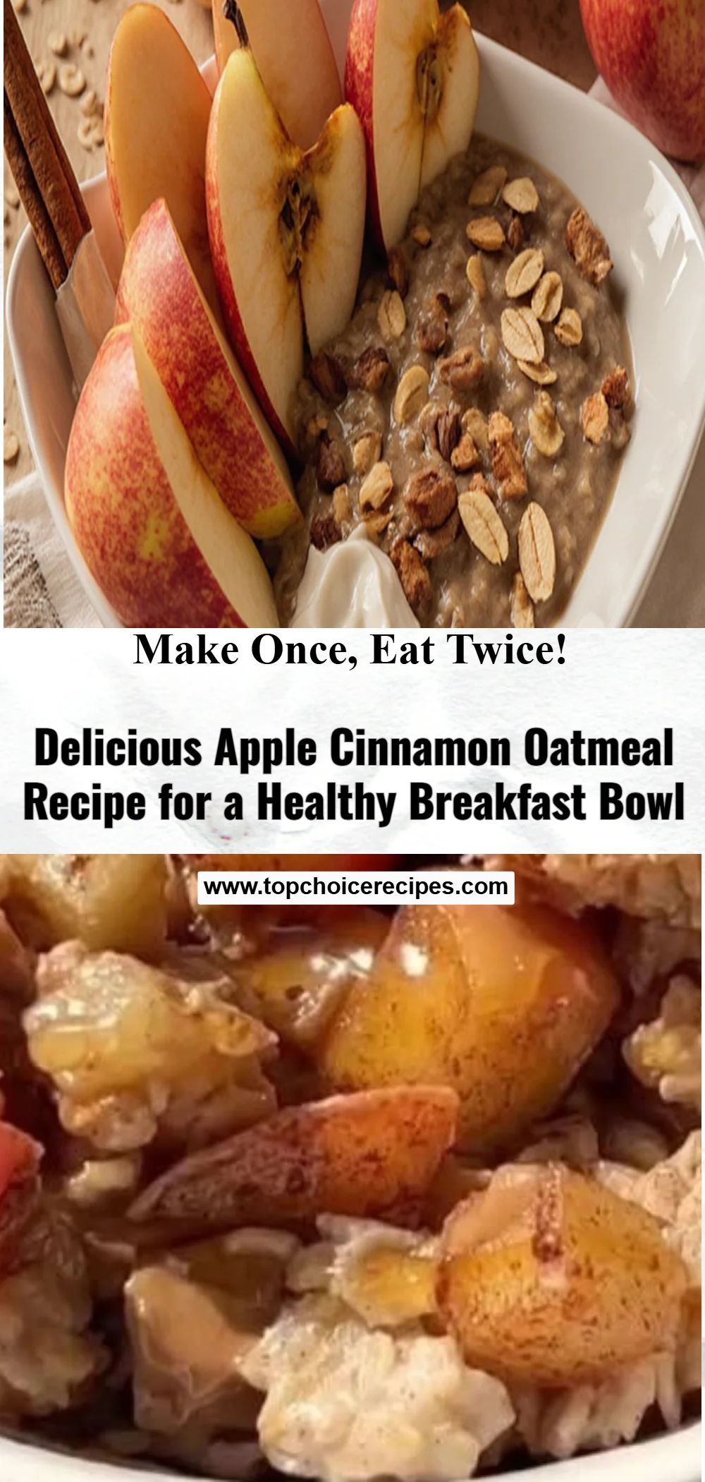 Apple Cinnamon Oatmeal Bowl 6 Apple Cinnamon Oatmeal Bowl