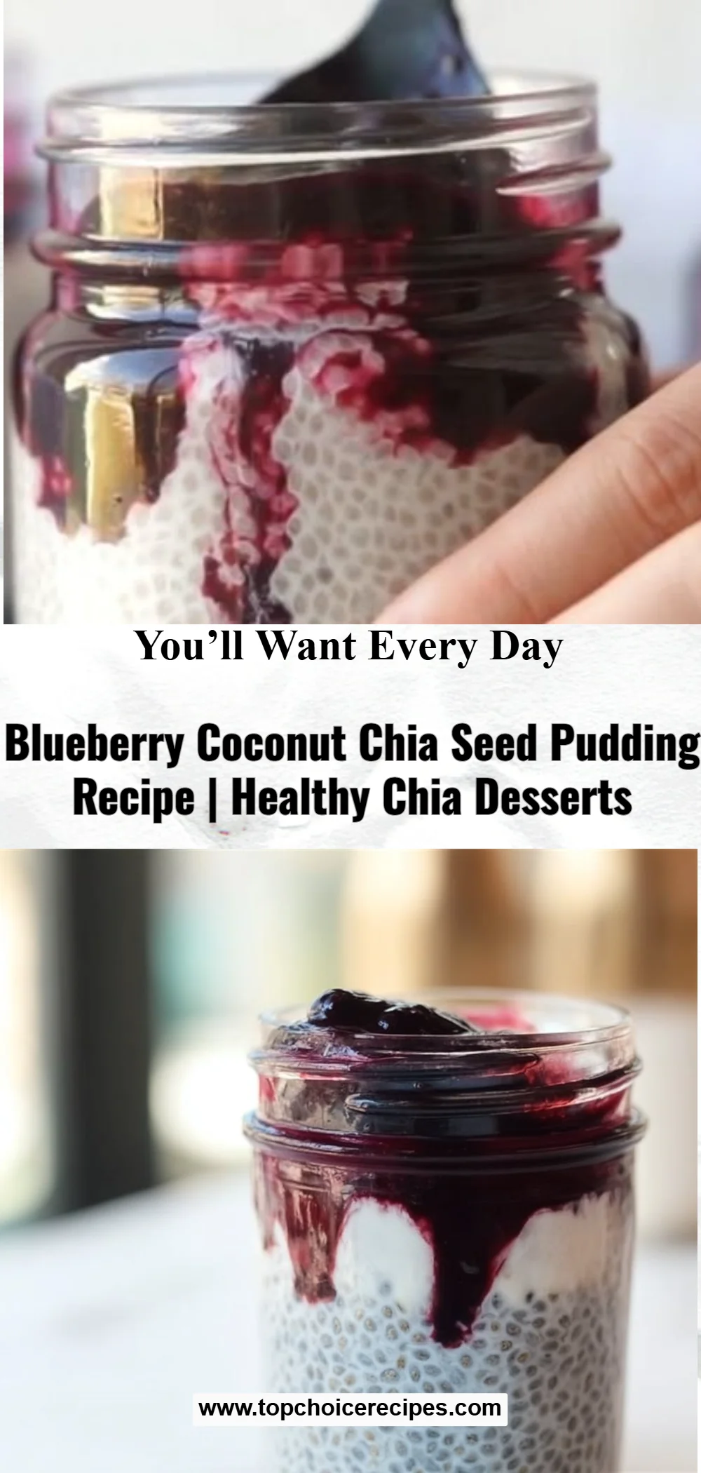 Blueberry Coconut Chia Seed Pudding