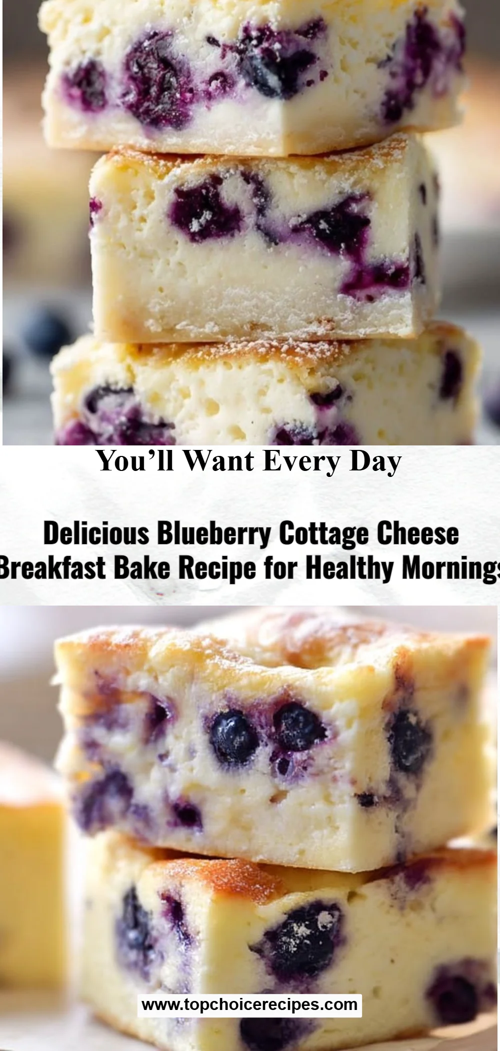 Blueberry Cottage Cheese Breakfast Bake 5 Blueberry Cottage Cheese Breakfast Bake