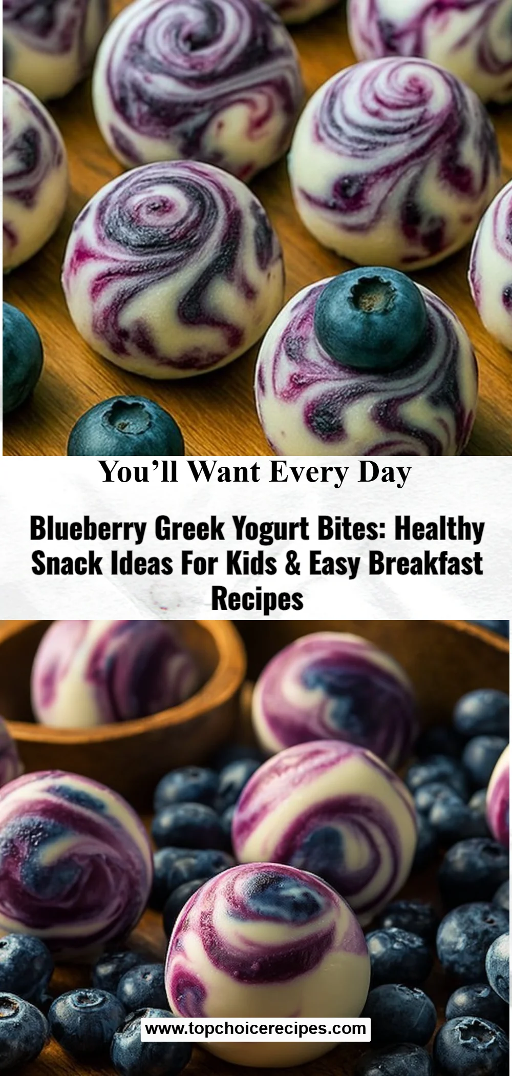 Blueberry Greek Yogurt Bites 5 Blueberry Greek Yogurt Bites