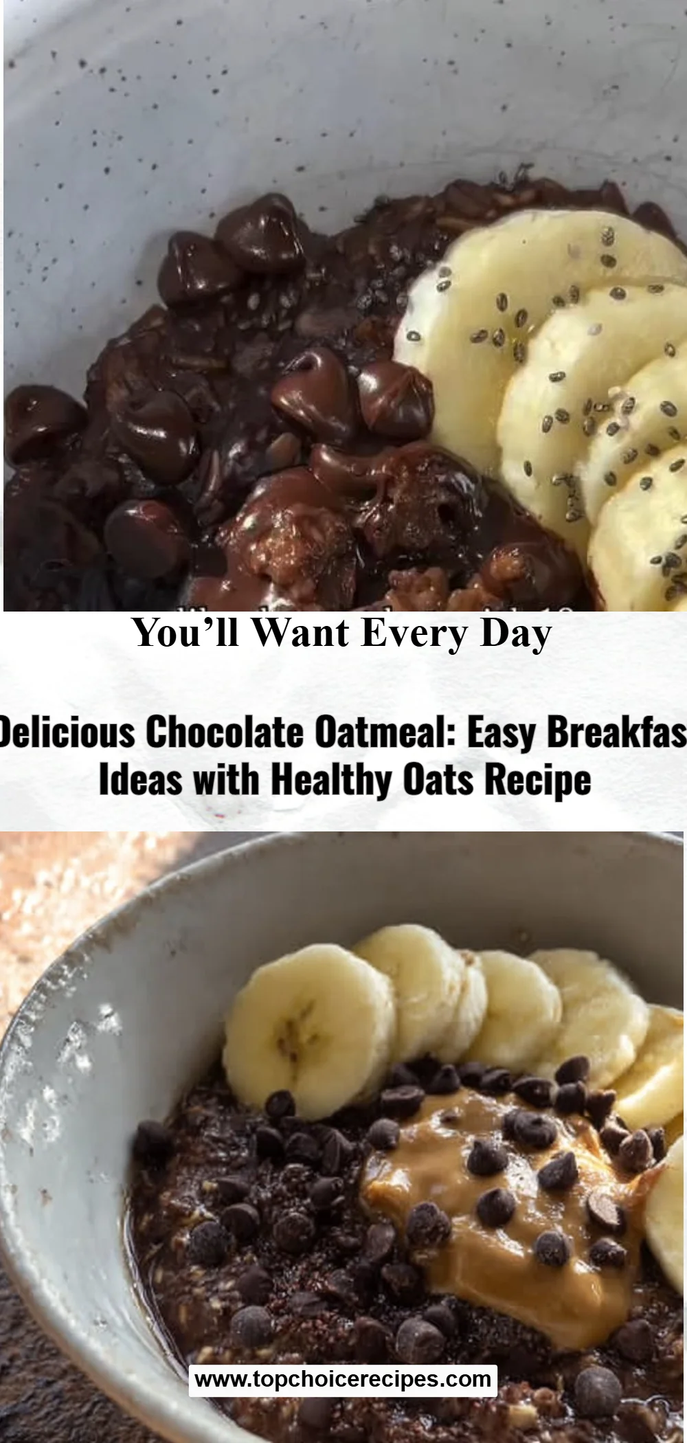 Chocolate Oatmeal 5 Chocolate Oatmeal