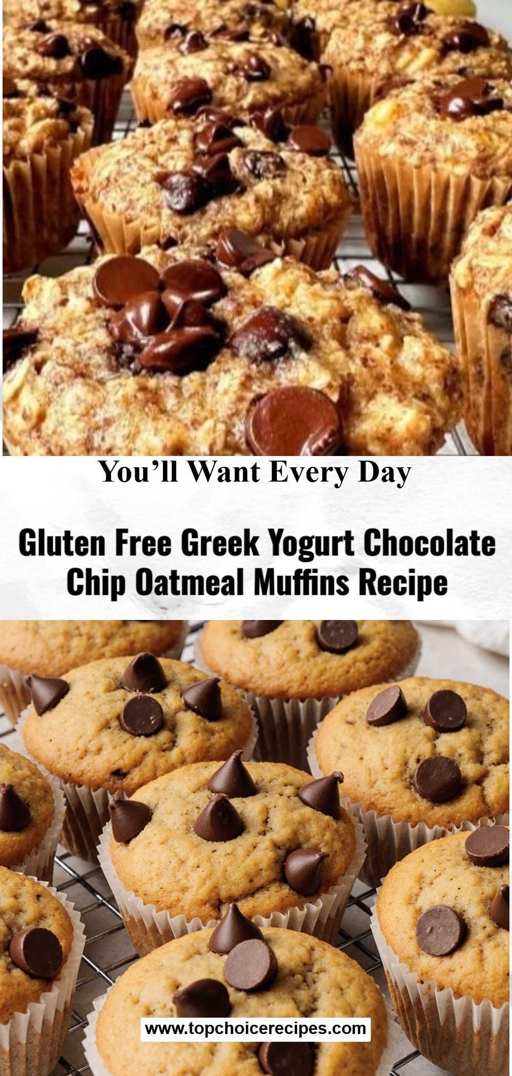 Greek Yogurt Chocolate Chip Oatmeal Muffins 6 Greek Yogurt Chocolate Chip Oatmeal Muffins