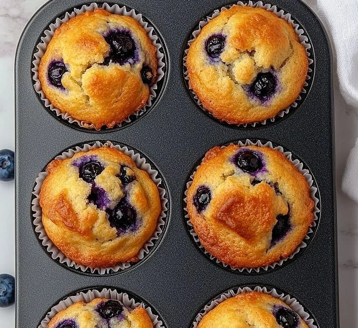 Hearty Blueberry Protein Muffins 4 Hearty blueberry protein muffins fresh from the oven
