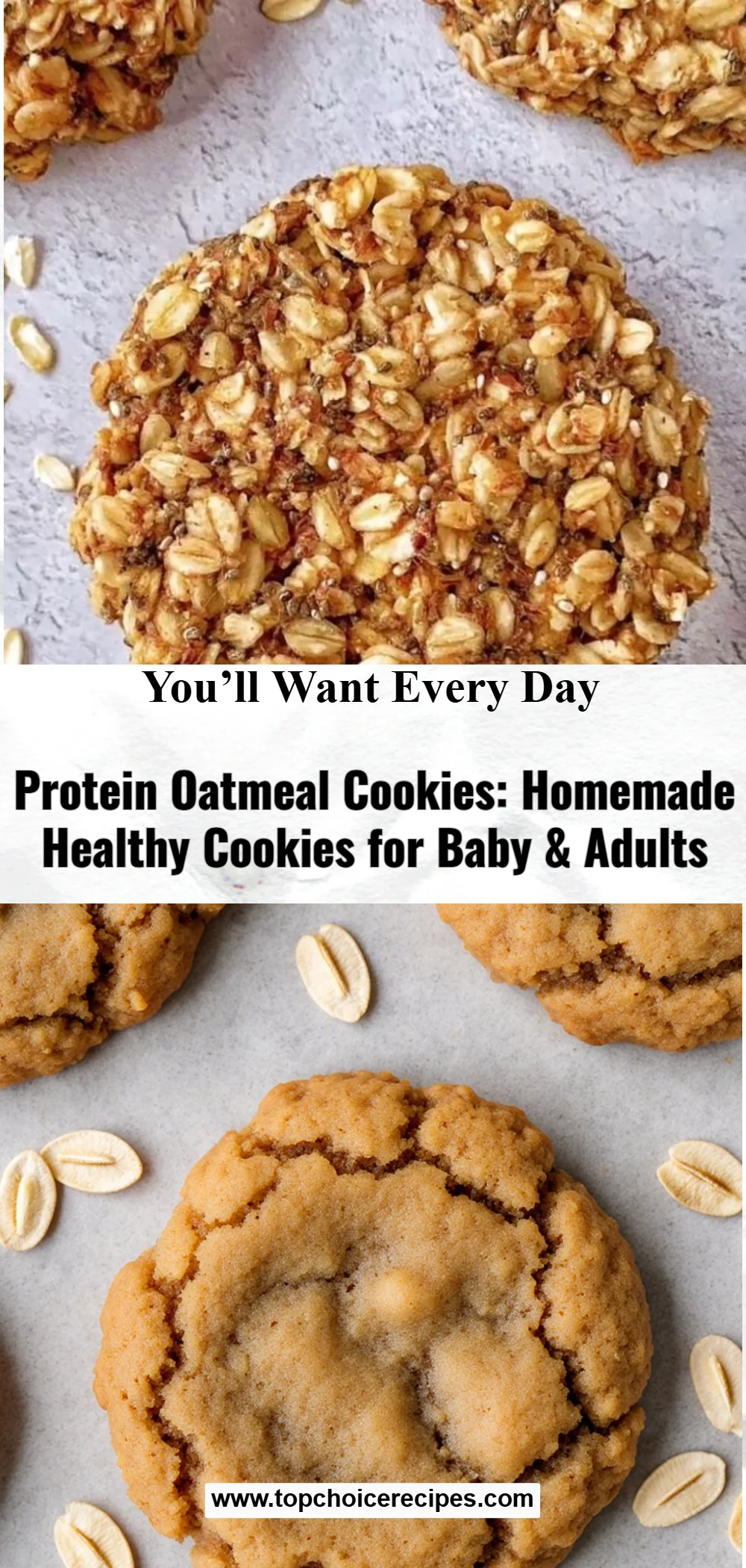 Protein Oatmeal Cookies