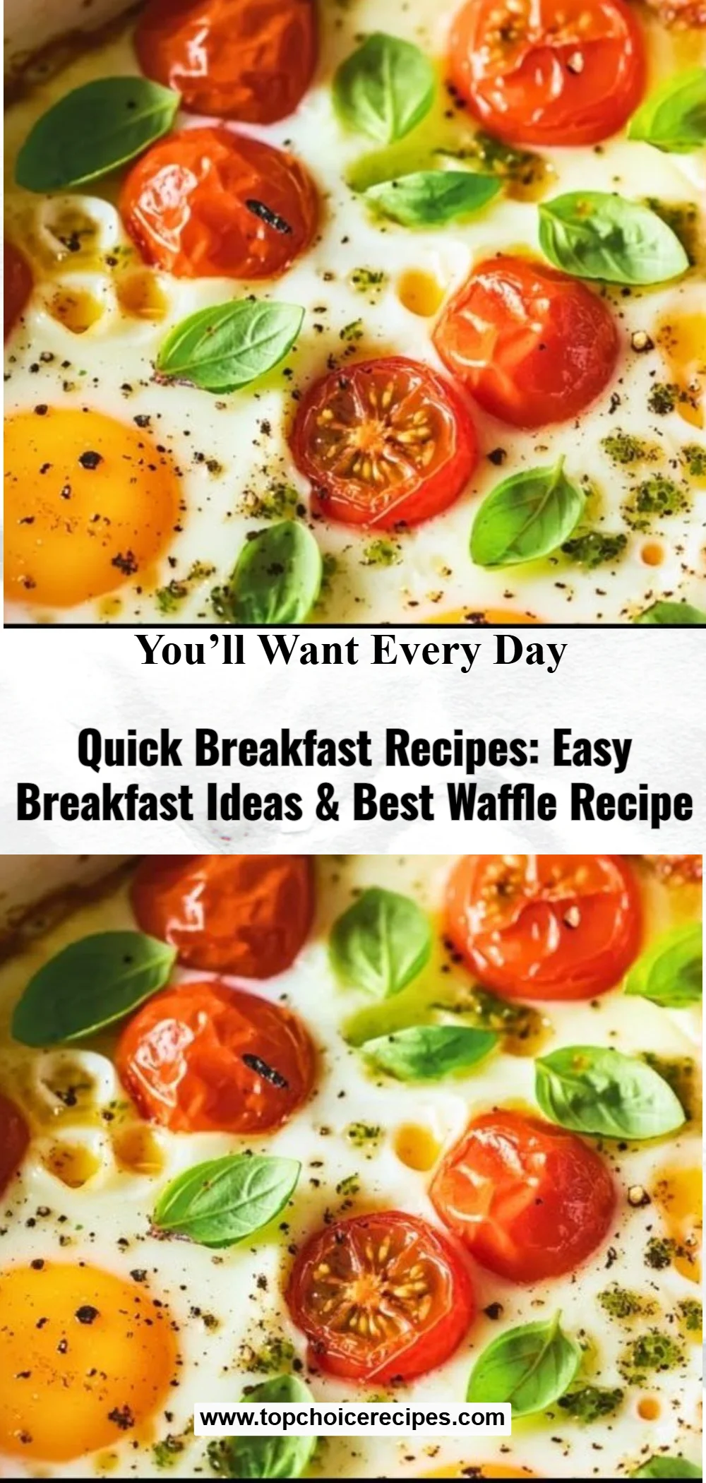 Quick Breakfast Recipes 6 Quick Breakfast Recipes