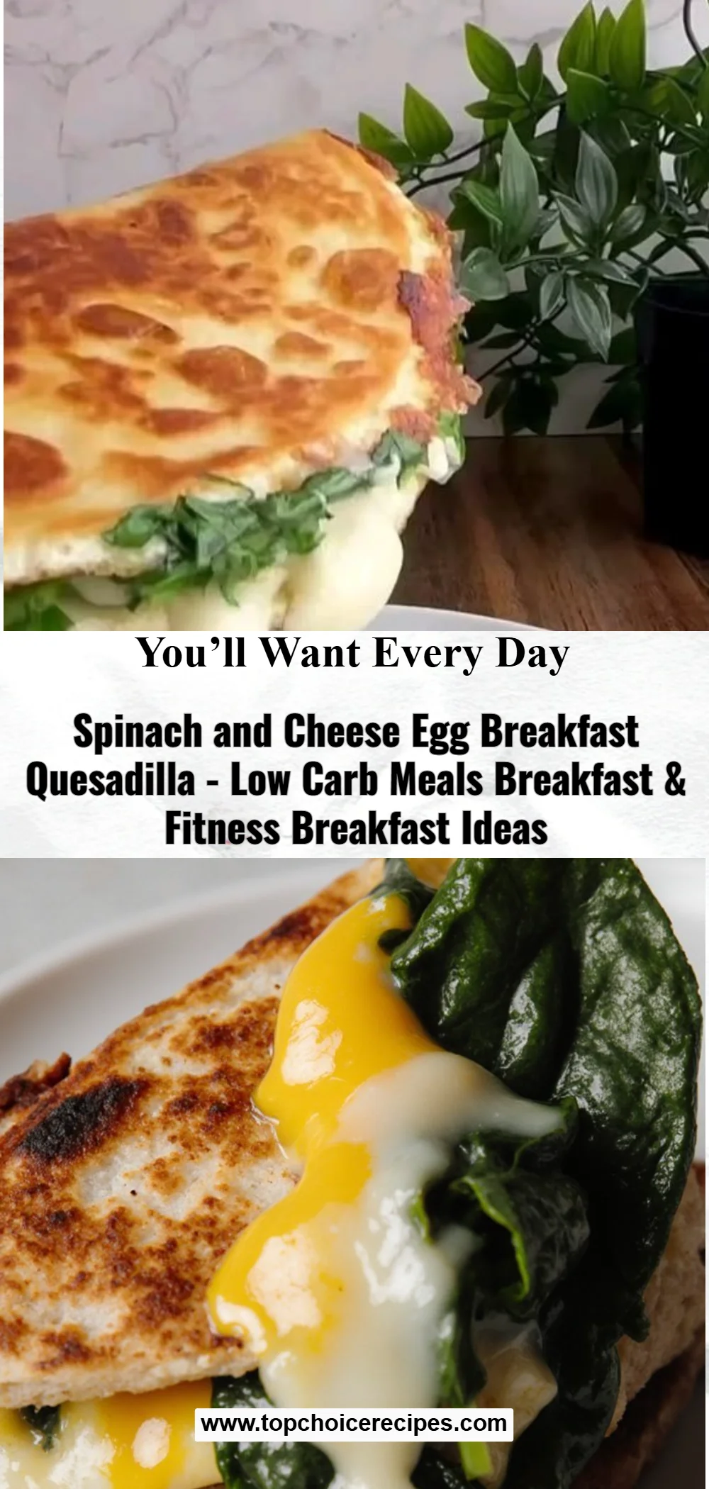 Spinach and Cheese Egg Breakfast Quesadilla 6 Spinach and Cheese Egg Breakfast Quesadilla